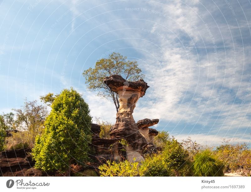 Sao Chaliang Landschaft, erstaunlich natürlich aus Stein schön Ferien & Urlaub & Reisen Tourismus Berge u. Gebirge Natur Himmel Park Wald Felsen Schlucht