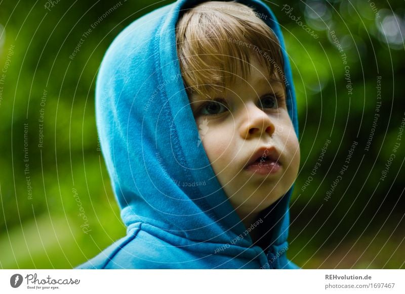 ich hab doch die papuze auf! Mensch maskulin Kind Kleinkind Junge Gesicht 1 1-3 Jahre Umwelt Natur Pflanze Garten Park Pullover Kapuze beobachten Blick blau