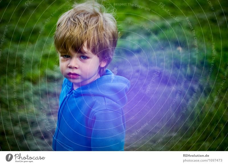 unterwegs Mensch maskulin Kind Kleinkind Junge 1 1-3 Jahre Umwelt Natur Gras Garten Park Wiese Pullover stehen klein blau grün violett Gefühle Verantwortung