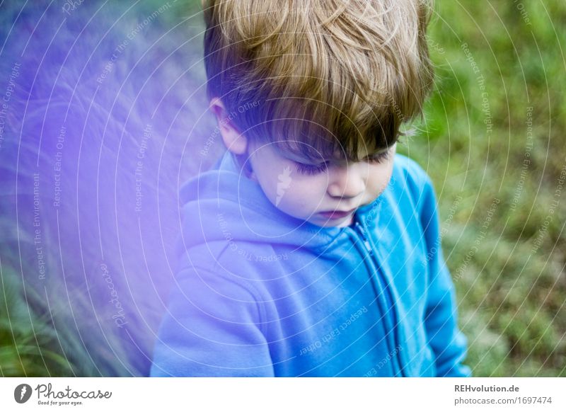 lila wölkchen Mensch maskulin Kind Kleinkind Junge Gesicht 1 1-3 Jahre Umwelt Natur Wiese Feld Pullover authentisch blond Coolness klein natürlich blau grün