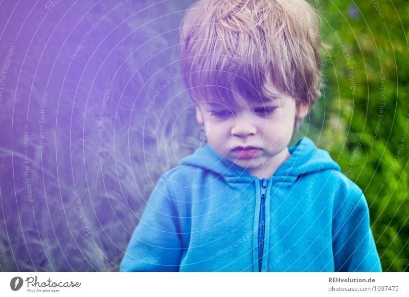 nicht gut drauf Mensch Kind Kleinkind Junge 1 1-3 Jahre Umwelt Natur Gras Wiese Pullover Haare & Frisuren Kommunizieren klein natürlich rebellisch Traurigkeit