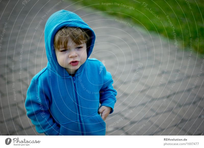 Lieblingspulli Mensch maskulin Kind Kleinkind Junge Gesicht 1 1-3 Jahre Wege & Pfade Pullover Kapuze Kapuzenpullover sprechen stehen Coolness klein niedlich