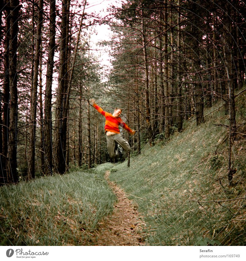 Antigravitationswald Farbfoto Außenaufnahme Tag Kontrast Weitwinkel Ganzkörperaufnahme Vorderansicht Wegsehen Lifestyle Stil Freizeit & Hobby Wandern Wald