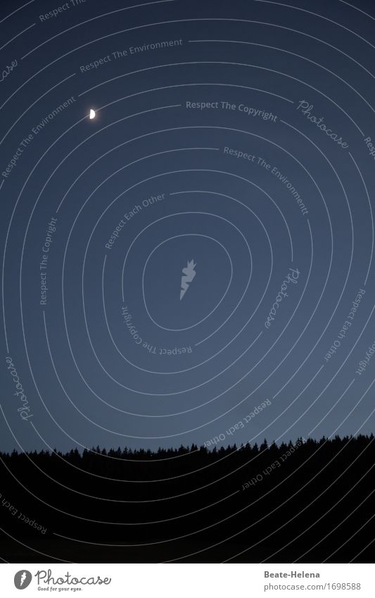 Orientierung | am Firmament Natur Landschaft Himmel Horizont Wetter Wald Erholung außergewöhnlich fantastisch glänzend blau schwarz Stimmung Romantik Abenteuer