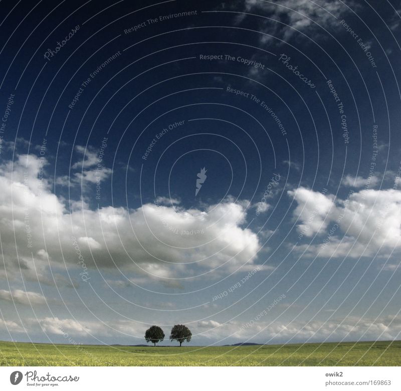 Treue Ferne Freiheit Umwelt Natur Landschaft Luft Himmel Wolken Horizont Frühling Klima Schönes Wetter Baum Gras Feld Ebene Weite Lausitz Ostsachsen Deutschland