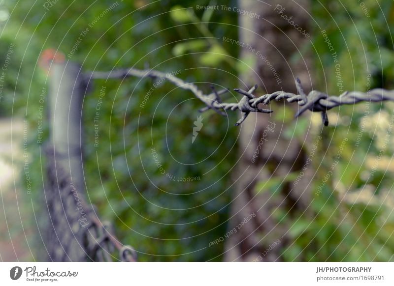 no trespassing Natur Blatt Mauer Wand Zaun Metall bedrohlich rebellisch Spitze stachelig grau grün Laster Kraft Verschwiegenheit Hemmung verstört