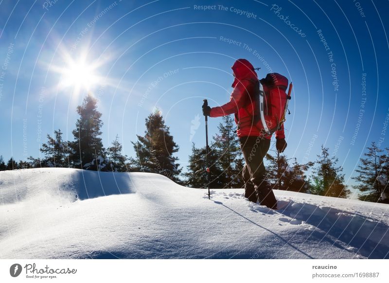 Winterwandern. Erholung Ferien & Urlaub & Reisen Ausflug Abenteuer Freiheit Expedition Schnee Berge u. Gebirge Sport Mensch Mann Erwachsene Natur Landschaft