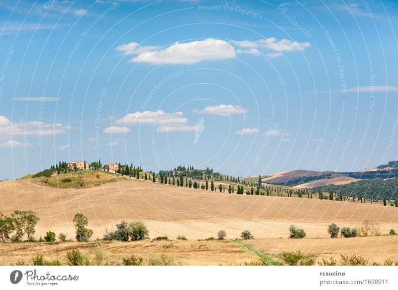 Landhäuser auf einem Hügel. Toskanische Landschaft Erholung Ferien & Urlaub & Reisen Tourismus Sommer Haus Natur Himmel Wärme Baum Wiese Dorf braun gelb grün