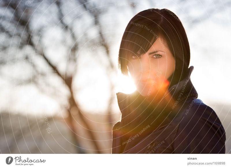 Sommersonne im Winter Farbfoto Außenaufnahme Textfreiraum links Tag Abend Licht Schatten Kontrast Silhouette Lichterscheinung Sonnenlicht Sonnenstrahlen