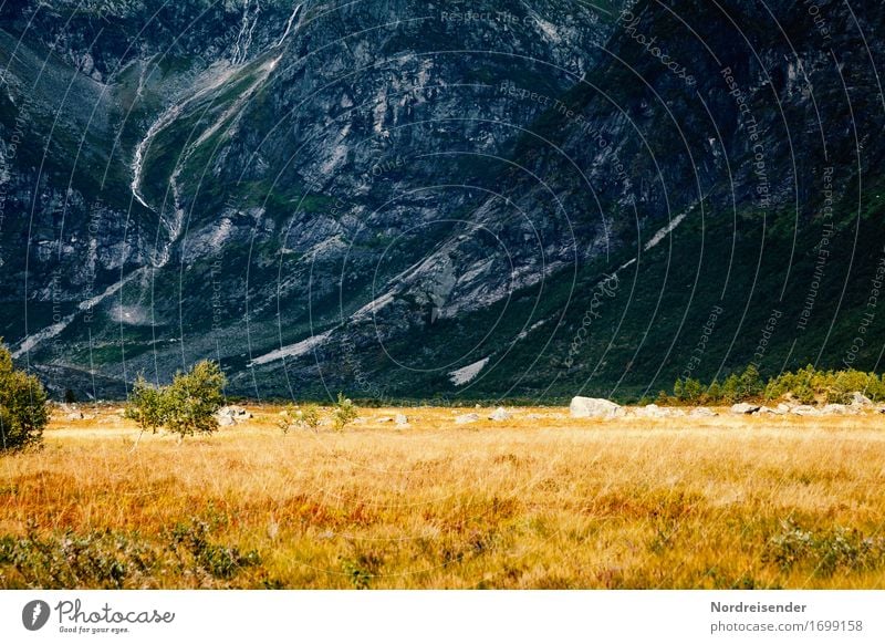 Endwelt Zeitmaschine Natur Landschaft Pflanze Urelemente Schönes Wetter Gras Wiese Felsen Berge u. Gebirge Schlucht Wege & Pfade Stein wandern außergewöhnlich