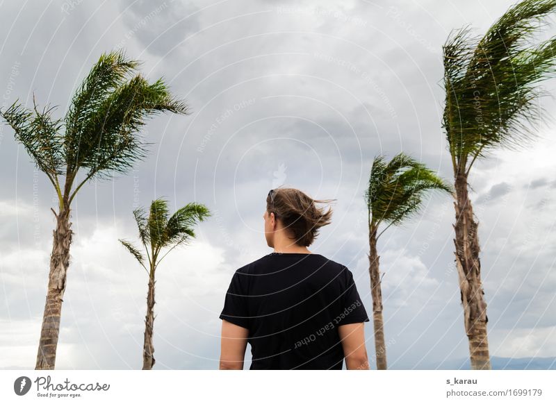 Stürmische Zeiten Ferien & Urlaub & Reisen Sommer Mensch maskulin Körper 1 Natur Wolken Klima Klimawandel Unwetter Wind Sturm Baum exotisch Tapferkeit