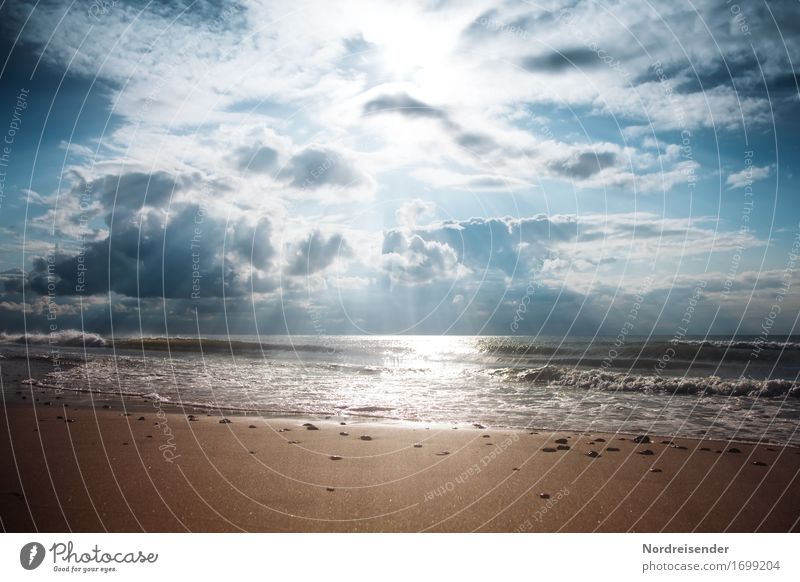 Meer ist mehr Sinnesorgane Ferien & Urlaub & Reisen Ferne Freiheit Strand Natur Landschaft Urelemente Sand Luft Wasser Himmel Wolken Sonne Sommer Herbst