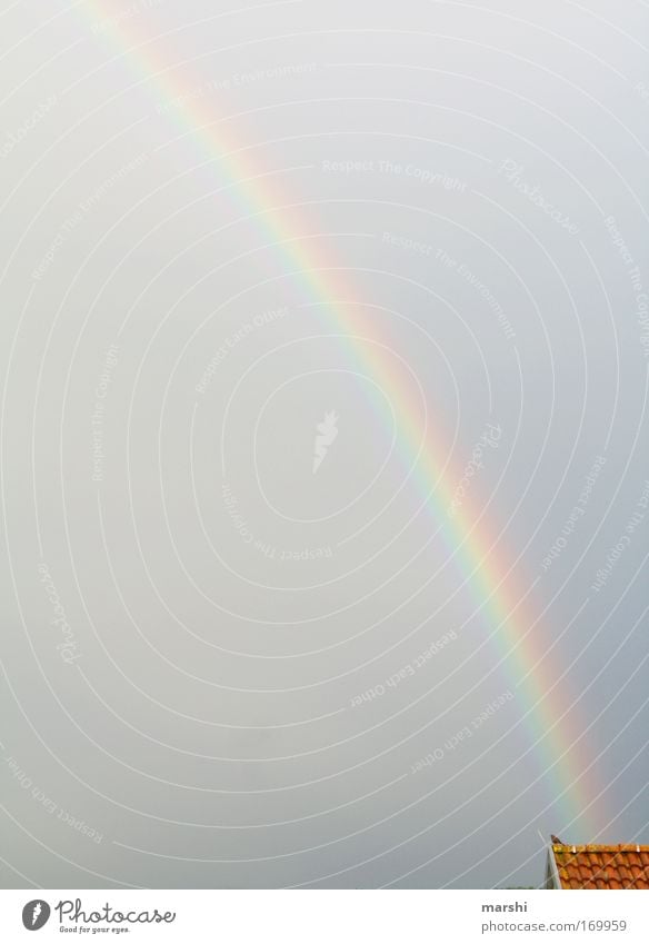 Regenbogen Farbfoto Außenaufnahme Natur Wassertropfen Himmel Wetter Gewitter Tier Vogel dunkel Unendlichkeit schön mehrfarbig Stimmung Dach Dachziegel Amsel