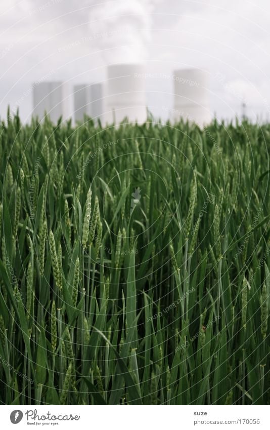 Hier rauchts Farbfoto Gedeckte Farben Außenaufnahme Menschenleer Tag Bioprodukte Wirtschaft Industrie Fortschritt Zukunft Erneuerbare Energie Kernkraftwerk