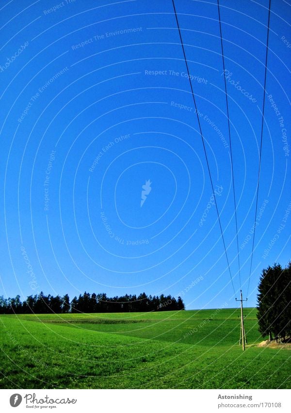 eine lange Leitung Farbfoto Außenaufnahme Menschenleer Textfreiraum links Tag Schatten Kontrast Umwelt Natur Landschaft Erde Himmel Wolkenloser Himmel Sommer