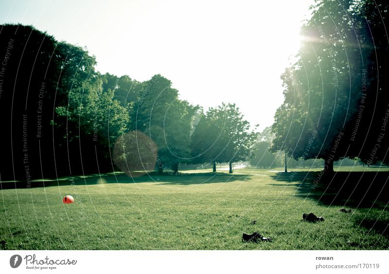 parkstadion Farbfoto Gedeckte Farben Außenaufnahme Menschenleer Textfreiraum oben Tag Abend Sonnenstrahlen Gegenlicht Sonnenlicht Sommer Schönes Wetter Baum