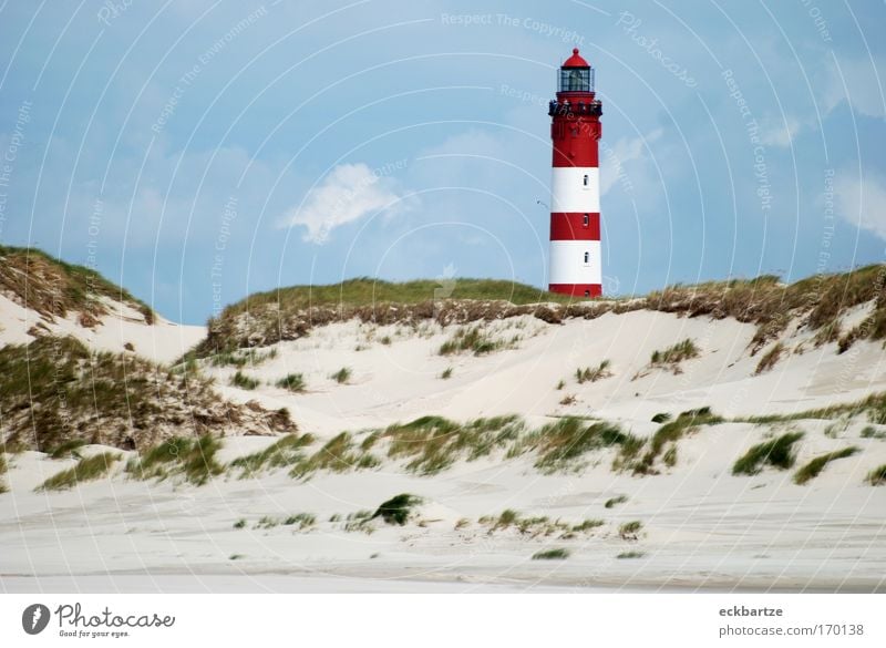 Amrum Kitsch Farbfoto Tag Panorama (Aussicht) Natur Landschaft Sand Himmel Wolken Wind Gras Sträucher Leuchtturm Stranddüne groß