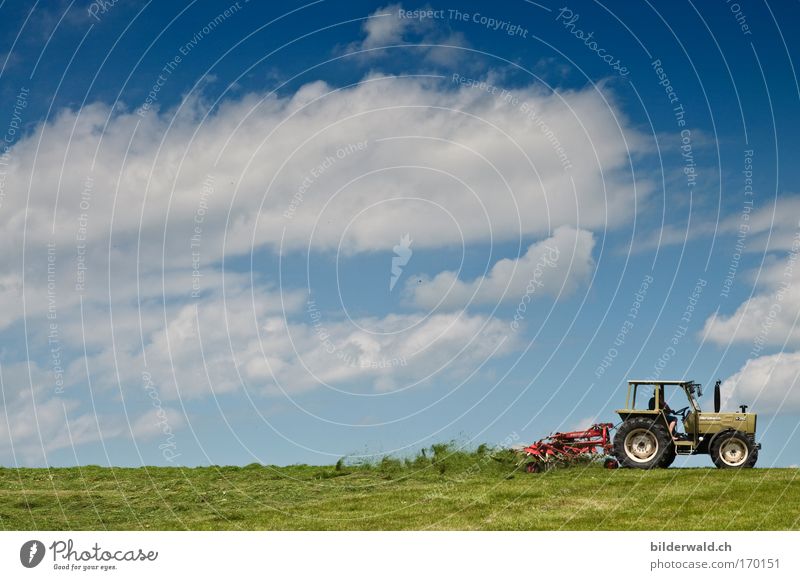 Wirbelwind Farbfoto Außenaufnahme Textfreiraum links Textfreiraum oben Tag Silhouette Totale Weitwinkel Traktor Mischzetter Natur Landschaft Pflanze Erde Himmel