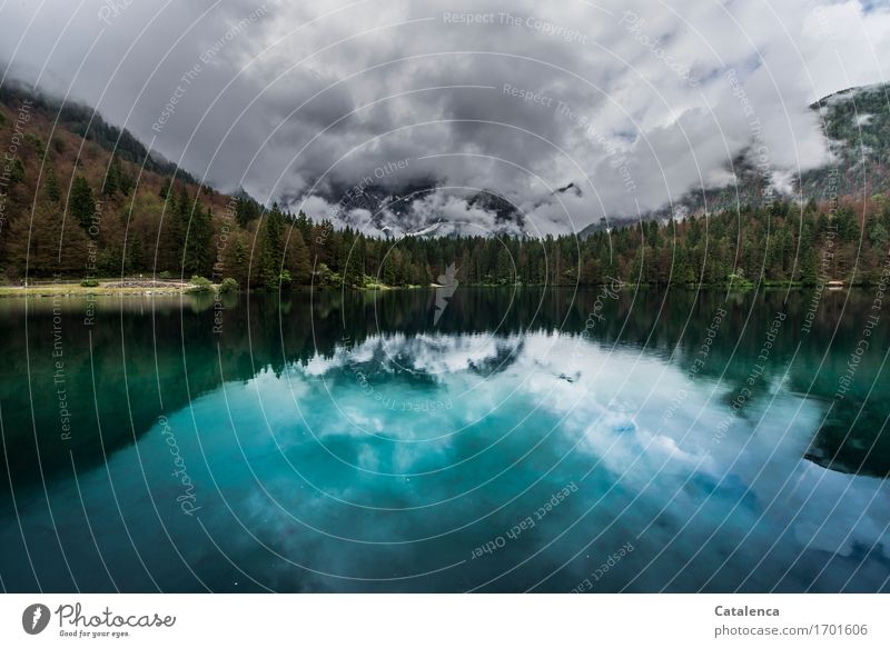 Zwei Welten; Spiegelung in einem Bergsee Ausflug Freiheit Sommer Berge u. Gebirge wandern Natur Landschaft Himmel Wolken schlechtes Wetter Tannen Wald Seeufer