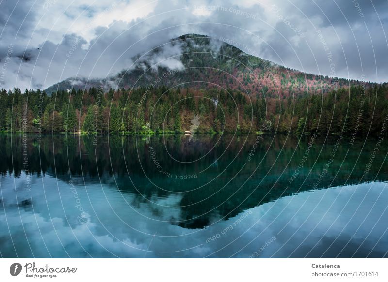 Gespiegelt, Berg  spiegelt sich im See Ferien & Urlaub & Reisen Ausflug Sommer Berge u. Gebirge wandern Umwelt Natur Landschaft Pflanze Wasser Nachthimmel