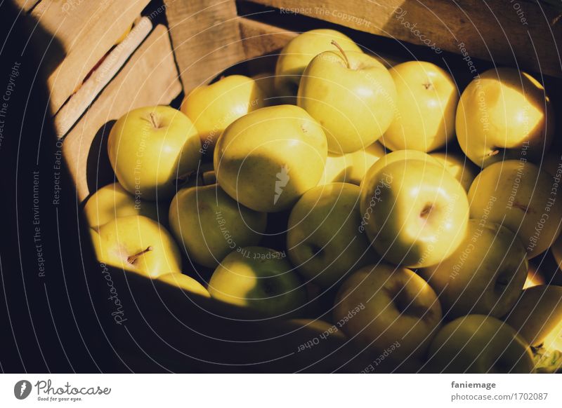 Apfelkiste Natur lecker apfelkiste Kiste Obstkiste Bioprodukte Gold gelb braun Sonne Sonnenlicht Lichtschein Schatten Marktplatz kaufen Frucht Sonnenstrahlen