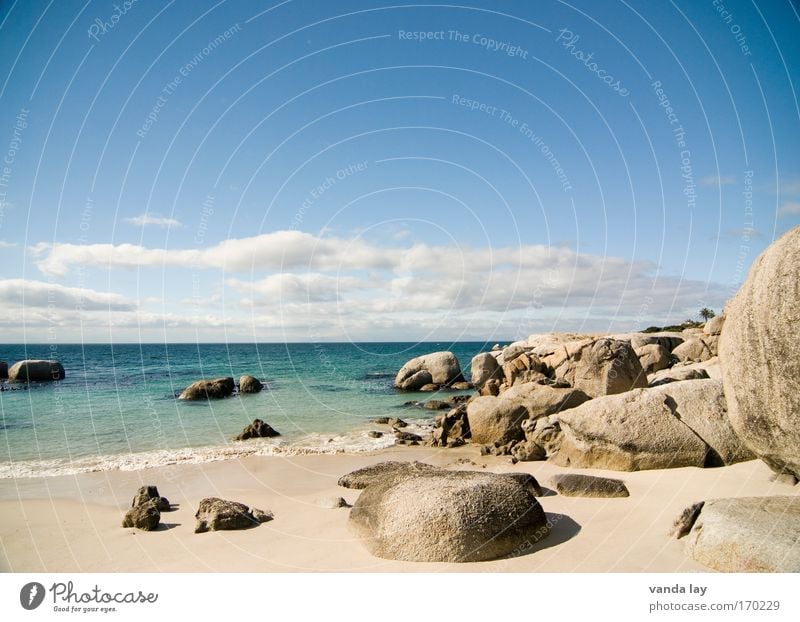 Boulders Beach Farbfoto Außenaufnahme Menschenleer Textfreiraum oben Schatten Ferien & Urlaub & Reisen Tourismus Ferne Freiheit Sommer Sommerurlaub Strand Meer