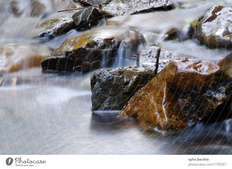 überfließende wasser Umwelt Natur Landschaft Urelemente Wasser Küste Flussufer Wasserfall Bewegung nass natürlich Stimmung Idylle Kraft Leben rein Rauschen Bach