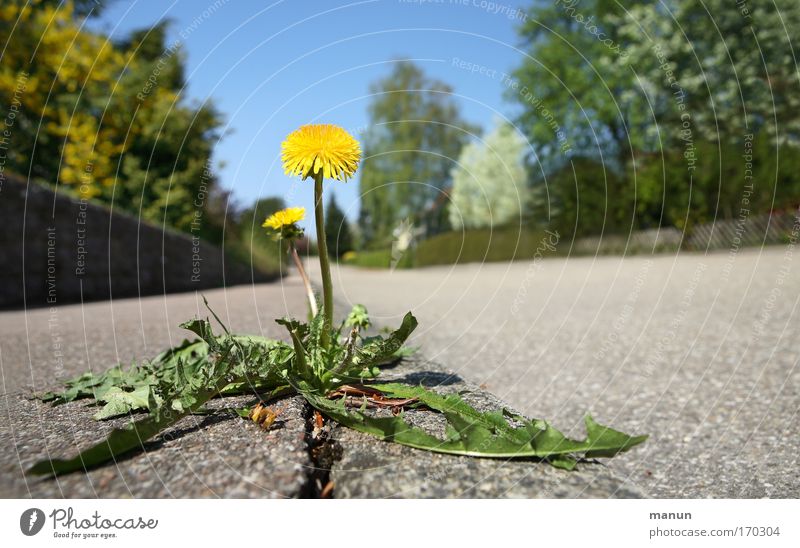 Aufbruch Farbfoto Gedeckte Farben Außenaufnahme Nahaufnahme Menschenleer Textfreiraum links Textfreiraum rechts Textfreiraum oben Tag Sonnenlicht