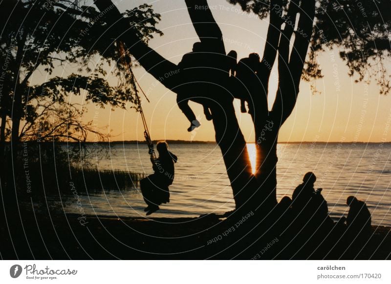 Seele BAUMeln Außenaufnahme Abend Dämmerung Silhouette Sonnenaufgang Sonnenuntergang Rückansicht Wohlgefühl Zufriedenheit Erholung ruhig