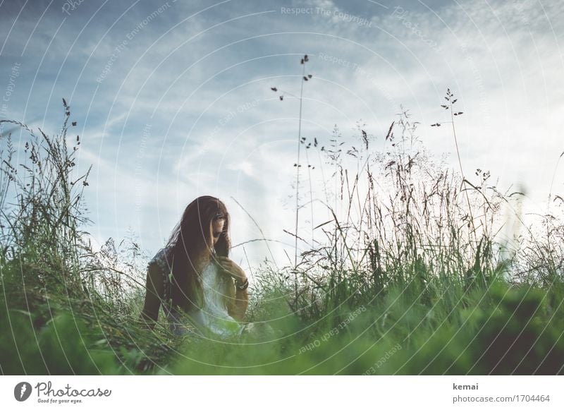 Sommerabend Lifestyle Stil Freizeit & Hobby Ausflug Freiheit Mensch feminin Junge Frau Jugendliche Leben 1 18-30 Jahre Erwachsene Natur Pflanze Himmel Wolken