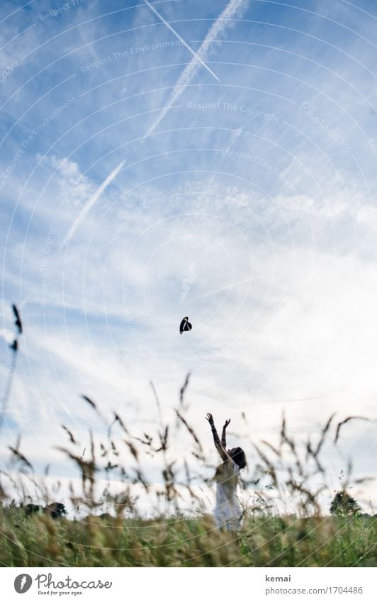 Fang den Hut Stil Leben Freizeit & Hobby Spielen Sommer Mensch feminin Junge Frau Jugendliche 1 18-30 Jahre Erwachsene Natur Himmel Wolkenloser Himmel