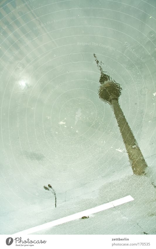 Regen hochkant alex Alexanderplatz Berlin Fahrbahn Gewitter Hauptstadt Niederschlag Pfütze Reflexion & Spiegelung Straße Straßenverkehr Berliner Fernsehturm