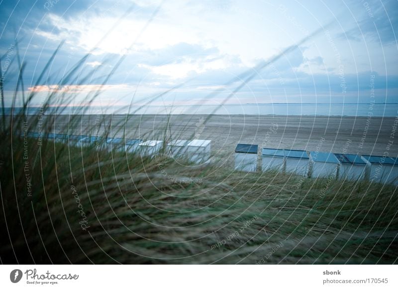 Strandland Farbfoto Gedeckte Farben Außenaufnahme Menschenleer Textfreiraum oben Abend Dämmerung Lichterscheinung Weitwinkel Ferien & Urlaub & Reisen Ausflug