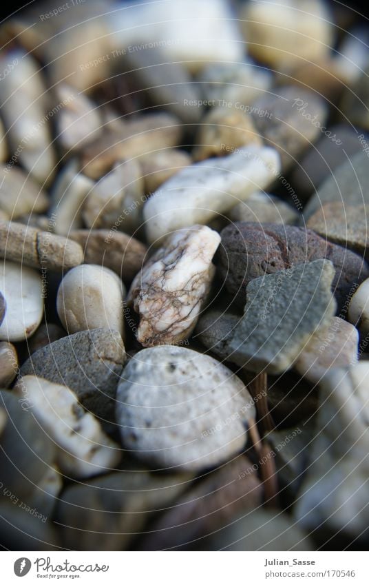 Stone Cold Farbfoto Außenaufnahme Detailaufnahme Makroaufnahme Menschenleer Tag Unschärfe Zentralperspektive Umwelt Natur Landschaft Urelemente Stein selektiv