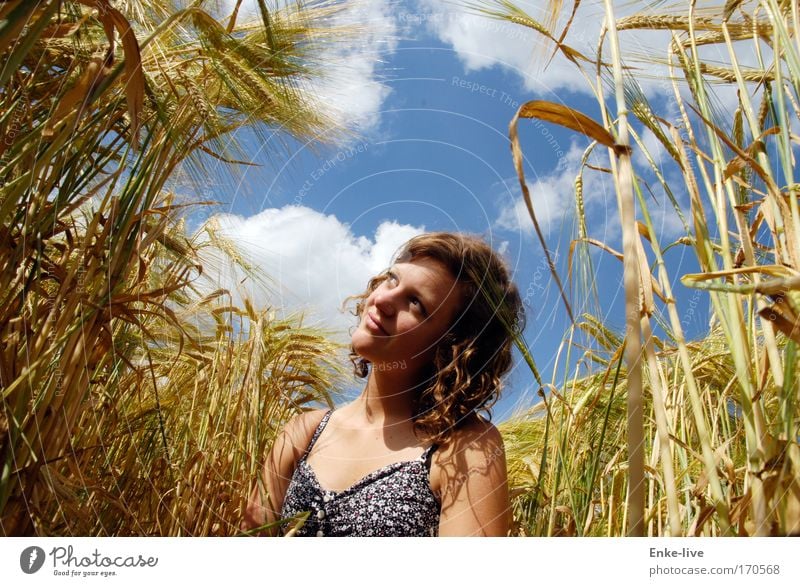 look where the sun shines Außenaufnahme Tag Sonnenlicht Oberkörper Getreide schön Junge Frau Jugendliche Natur Feld Locken Denken Erholung Lächeln Blick