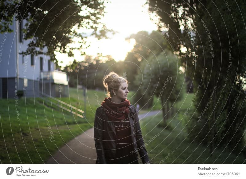 Eins Mensch feminin Junge Frau Jugendliche Erwachsene Freundschaft 1 18-30 Jahre Sonne Sonnenaufgang Sonnenuntergang Schönes Wetter Baum Menschenleer