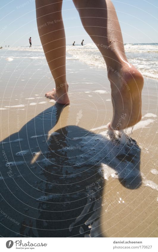 Nordsee Farbfoto Gedeckte Farben Außenaufnahme Nahaufnahme Textfreiraum unten Tag Licht Schatten Sonnenlicht Wohlgefühl Zufriedenheit Sinnesorgane Erholung