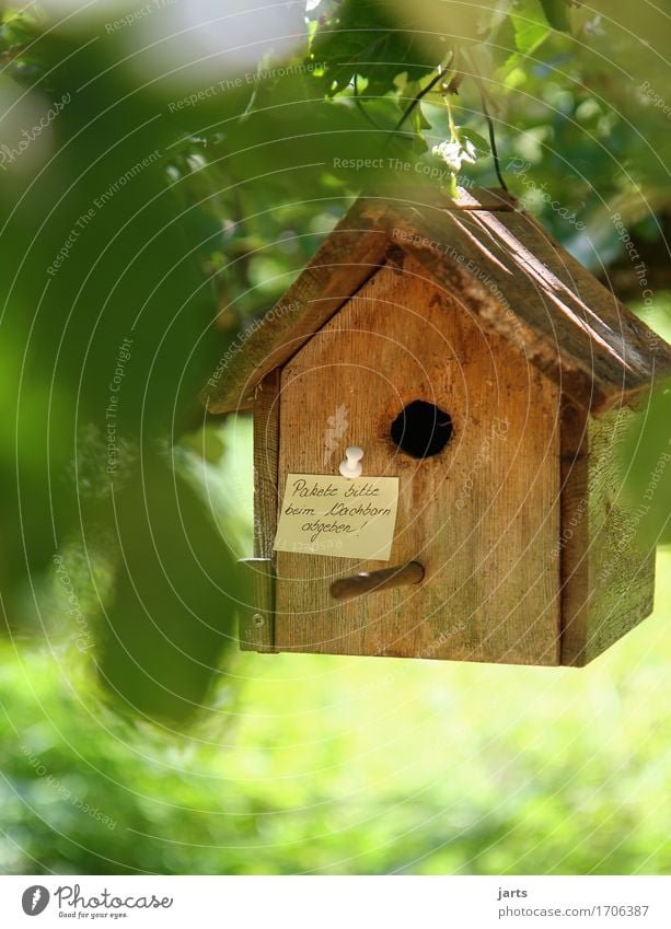 für den pakeboten Baum Blatt Garten Wald Haus Hütte Hinweisschild Warnschild Kommunizieren Futterhäuschen Zettel Information Paket Zusteller Auftrag Farbfoto