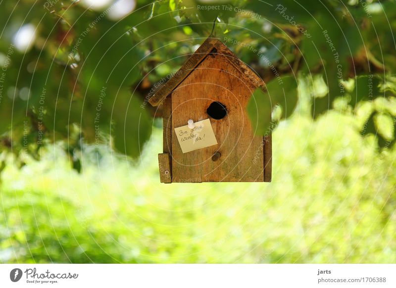 bis gleich Schönes Wetter Baum Blatt Park Wald Haus außergewöhnlich natürlich Häusliches Leben Zettel Information Futterhäuschen Farbfoto Außenaufnahme