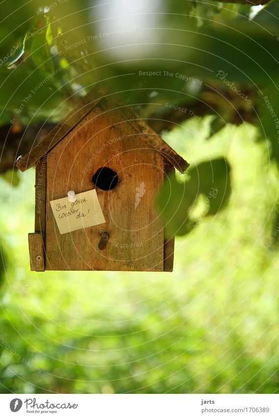 bitte warten Schönes Wetter Baum Blatt Garten Haus Hütte Häusliches Leben Zettel Information Futterhäuschen Brutkasten Eingang Farbfoto mehrfarbig Außenaufnahme