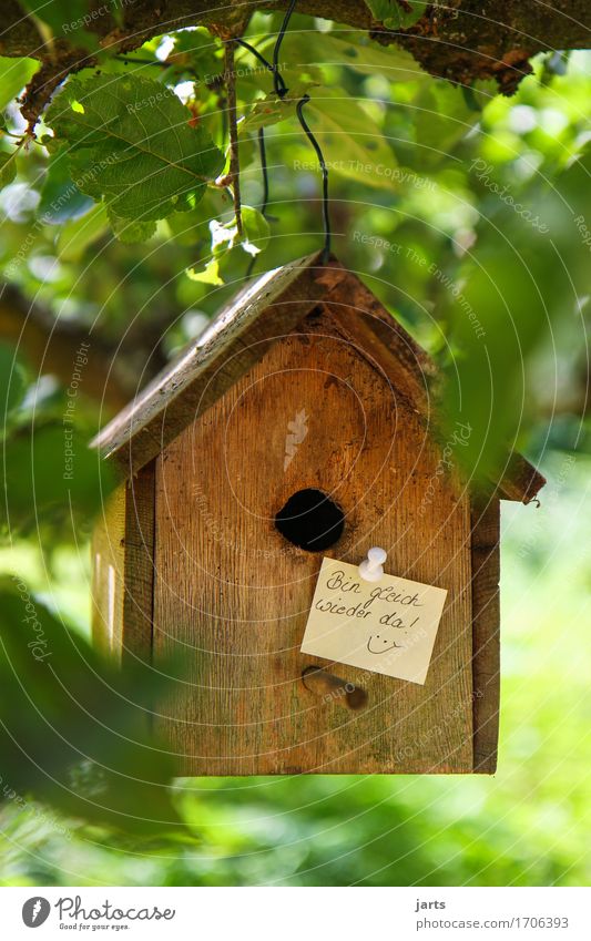 bin gleich wieder da Schönes Wetter Baum Blatt Haus Einfamilienhaus Tür Namensschild Futterhäuschen Zettel Information Hinweisschild Farbfoto Außenaufnahme