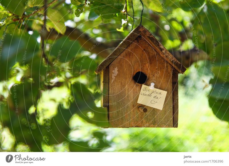 zur info Baum Blatt Haus Hütte Hinweisschild Warnschild Häusliches Leben rustikal Futterhäuschen Zettel Information Farbfoto Außenaufnahme Menschenleer