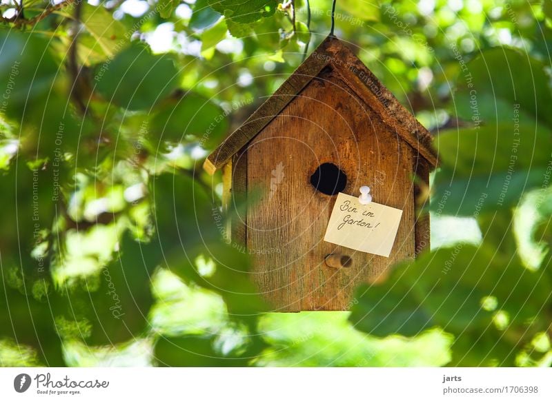 bin im garten ! II Baum Blatt Garten Park Wald Haus Hütte Hinweisschild Warnschild Häusliches Leben Freizeit & Hobby Idylle Futterhäuschen Zettel Information