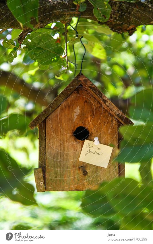 im garten Schönes Wetter Baum Garten Wald Haus Hütte Häusliches Leben Zettel Information Futterhäuschen Farbfoto mehrfarbig Außenaufnahme Menschenleer