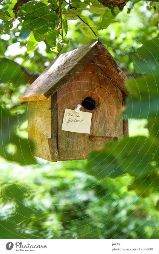 im garten Baum Blatt Wald Haus Traumhaus Hütte Kommunizieren Natur Zettel Information Futterhäuschen Garten Farbfoto mehrfarbig Außenaufnahme Menschenleer