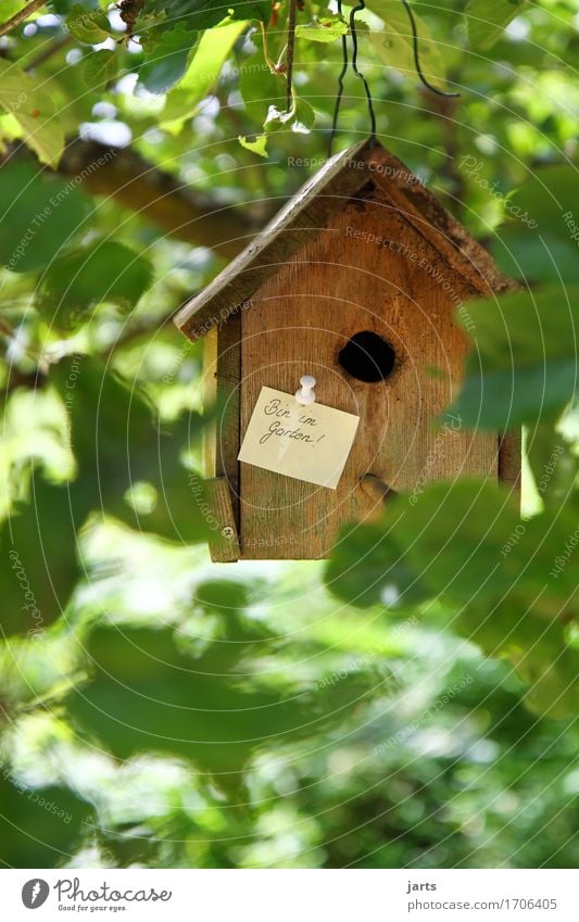 bin im garten Haus Traumhaus Hütte Zettel Holz beweglich Häusliches Leben Futterhäuschen Information Garten Holzhaus Freizeit & Hobby Pause Erholung Farbfoto