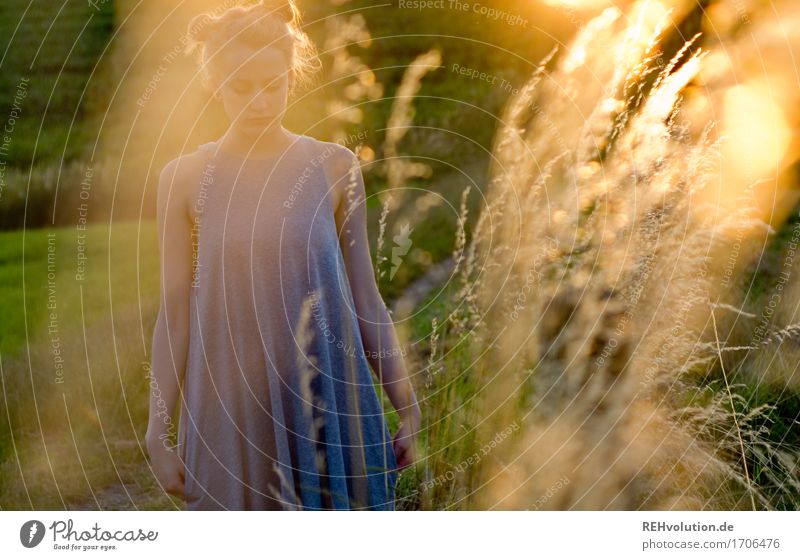 Alexa | im Abendlicht Mensch feminin Junge Frau Jugendliche 1 18-30 Jahre Erwachsene Umwelt Natur Landschaft Gras Wiese Kleid Haare & Frisuren blond langhaarig