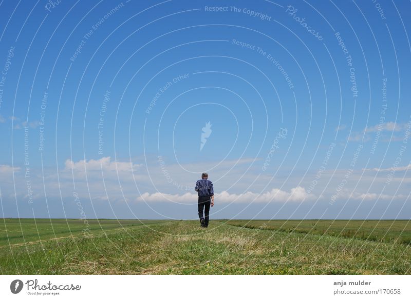 Einsamer Spaziergang Farbfoto Außenaufnahme Tag Zentralperspektive Rückansicht Mensch Mann Erwachsene Leben 1 Umwelt Natur Landschaft Erde Horizont Feld