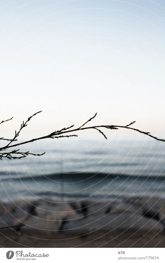 convergence Farbfoto Gedeckte Farben Außenaufnahme Abend Dämmerung Landschaft Wasser Himmel Horizont Sonnenaufgang Sonnenuntergang Wellen Küste frisch groß