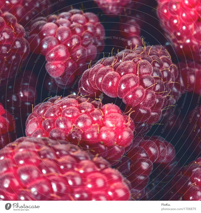 Himbeeren in Nahaufnahme Lebensmittel Frucht Ernährung Essen Bioprodukte Vegetarische Ernährung Diät frisch Gesundheit schön lecker natürlich süß rot genießen